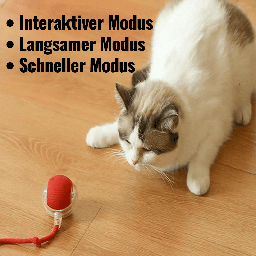 BALLIQ -  Interaktiver Spielball für Haustiere