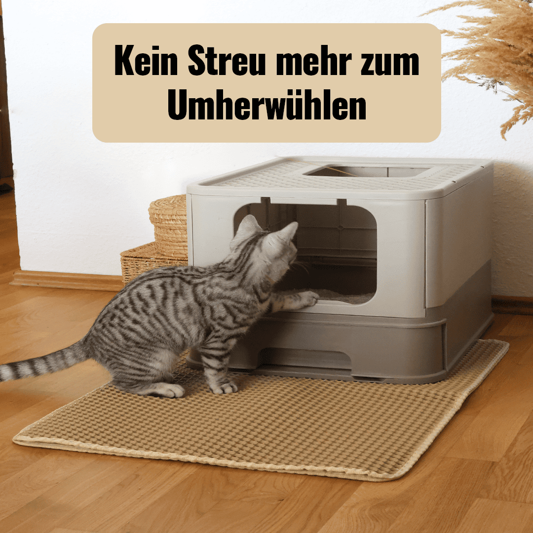 MATTIQ - Innovative Streumatte für ein sauberes Zuhause
