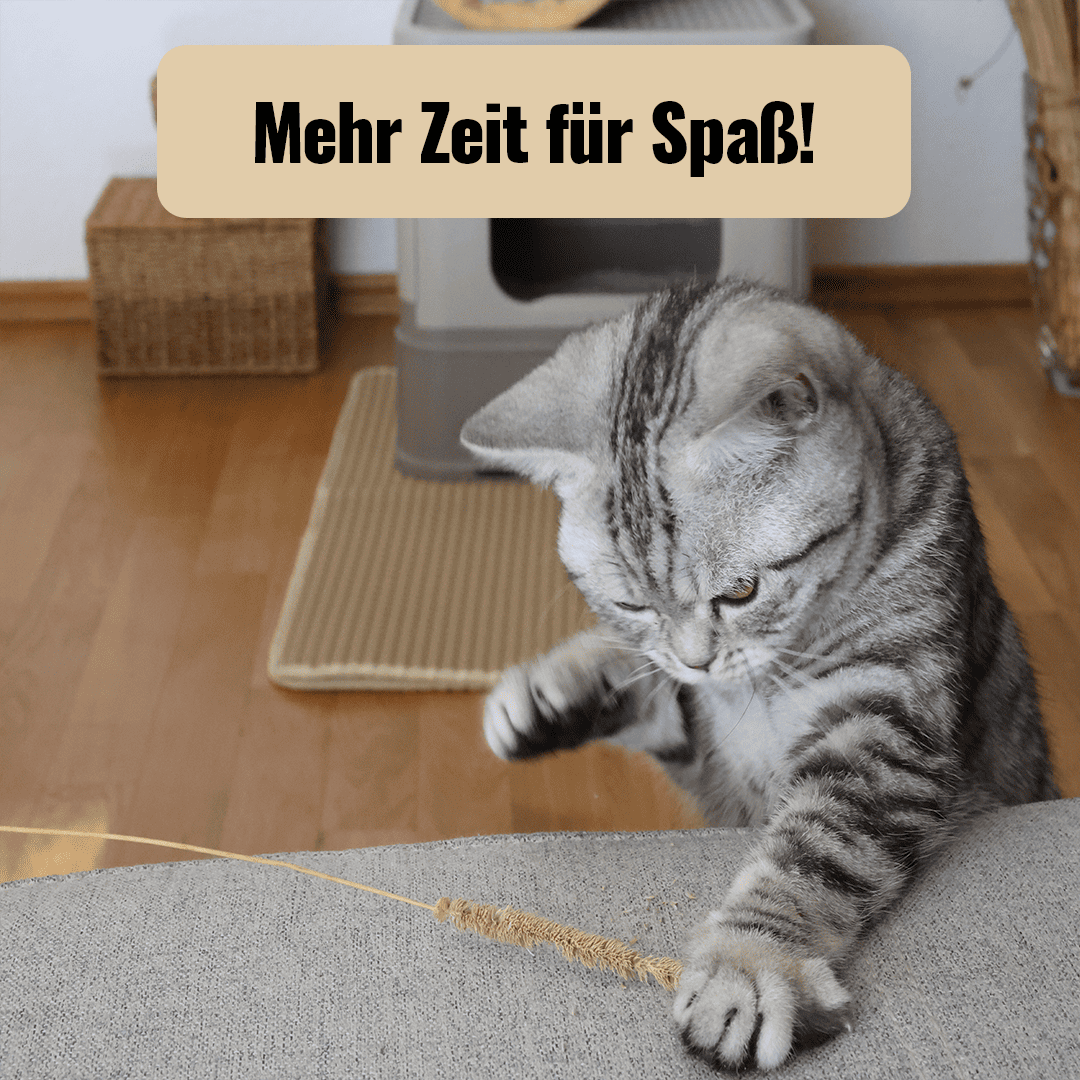 MATTIQ - Innovative Streumatte für ein sauberes Zuhause