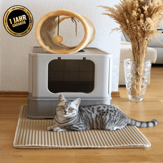 MATTIQ - Innovative Streumatte für ein sauberes Zuhause